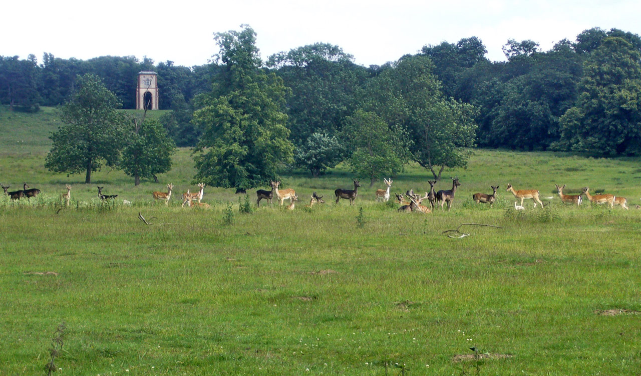 Belton House